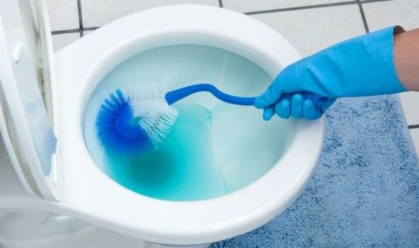 Toilet Cleaning Tips